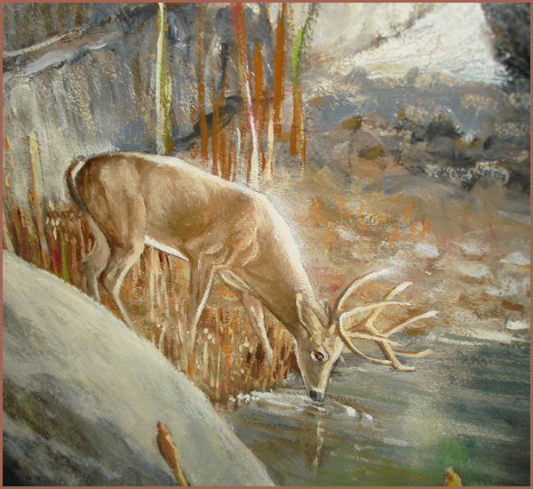 Image of Deer in Guadalupe River by Jane Felts Mauldin
